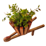 Carriola de Madeira com 1 Vaso para Plantas - 1