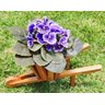 Carriola de Madeira com 1 Vaso para Plantas - 4