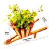 Carriola de Madeira com 1 Vaso para Plantas - 2