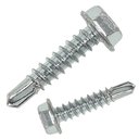 Ver imagem 1 de PARAFUSO SEXTAVADO AUTOBROCANTE 5,5 X 25 ZINCO - 200Pçs