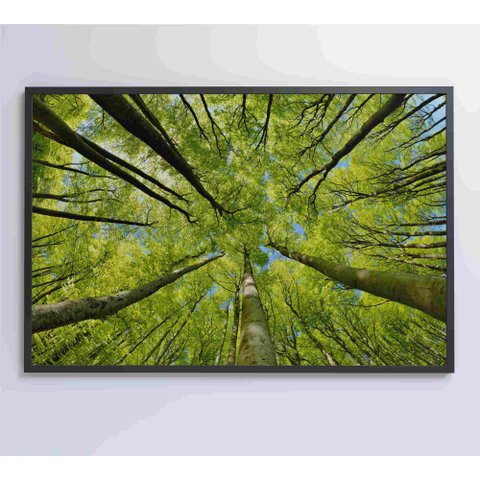 Quadro Árvores - 90x60 Cm - Tecido Canvas
