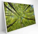 Ver imagem 2 de Quadro Árvores - 90x60 Cm - Tecido Canvas