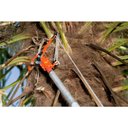 Ver imagem 3 de Tesoura para Poda em Altura Bahco P34-37 40mm