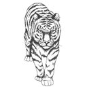 Ver imagem 1 de Quadro de Parede Tigre Corte À Laser em Mdf