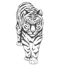 Ver imagem 1 de Quadro de Parede Tigre Corte À Laser em Mdf