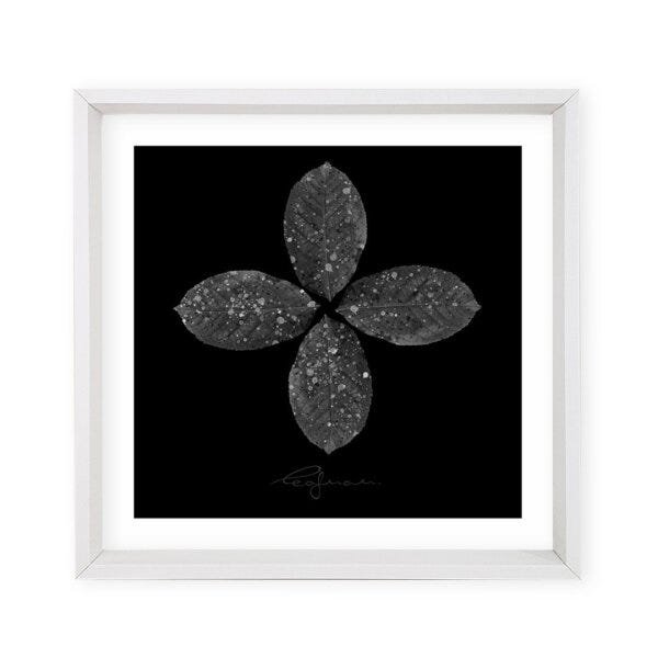 Quadro com Moldura Magiaj Gutoj Leafman Branco - 50x50 - 4