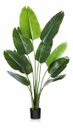 Ver mais imagens de Bananeira Artificial Viajante para Decoração Planta Realista 1.20m