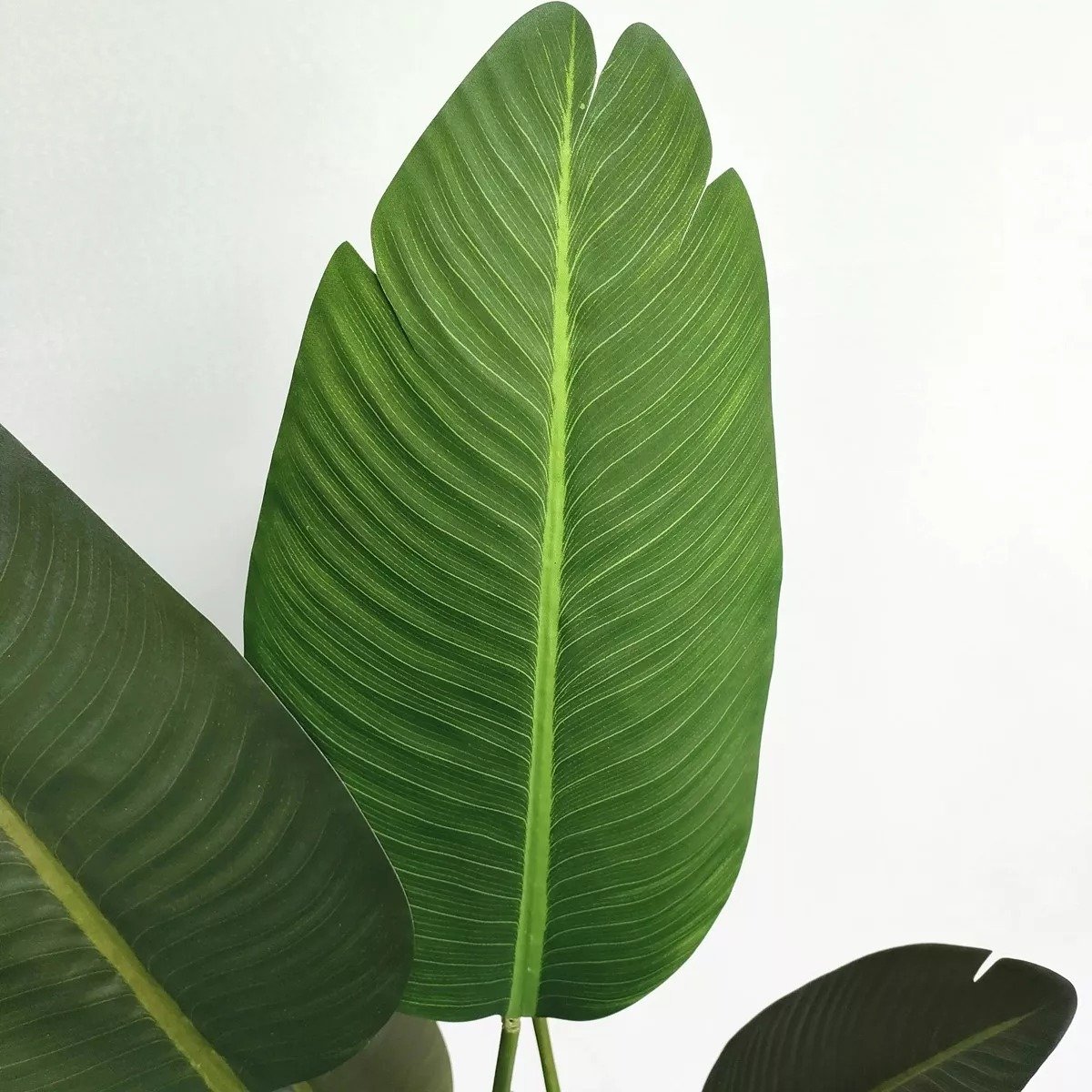 Bananeira Artificial Viajante para Decoração Planta Realista 1.20m - 7