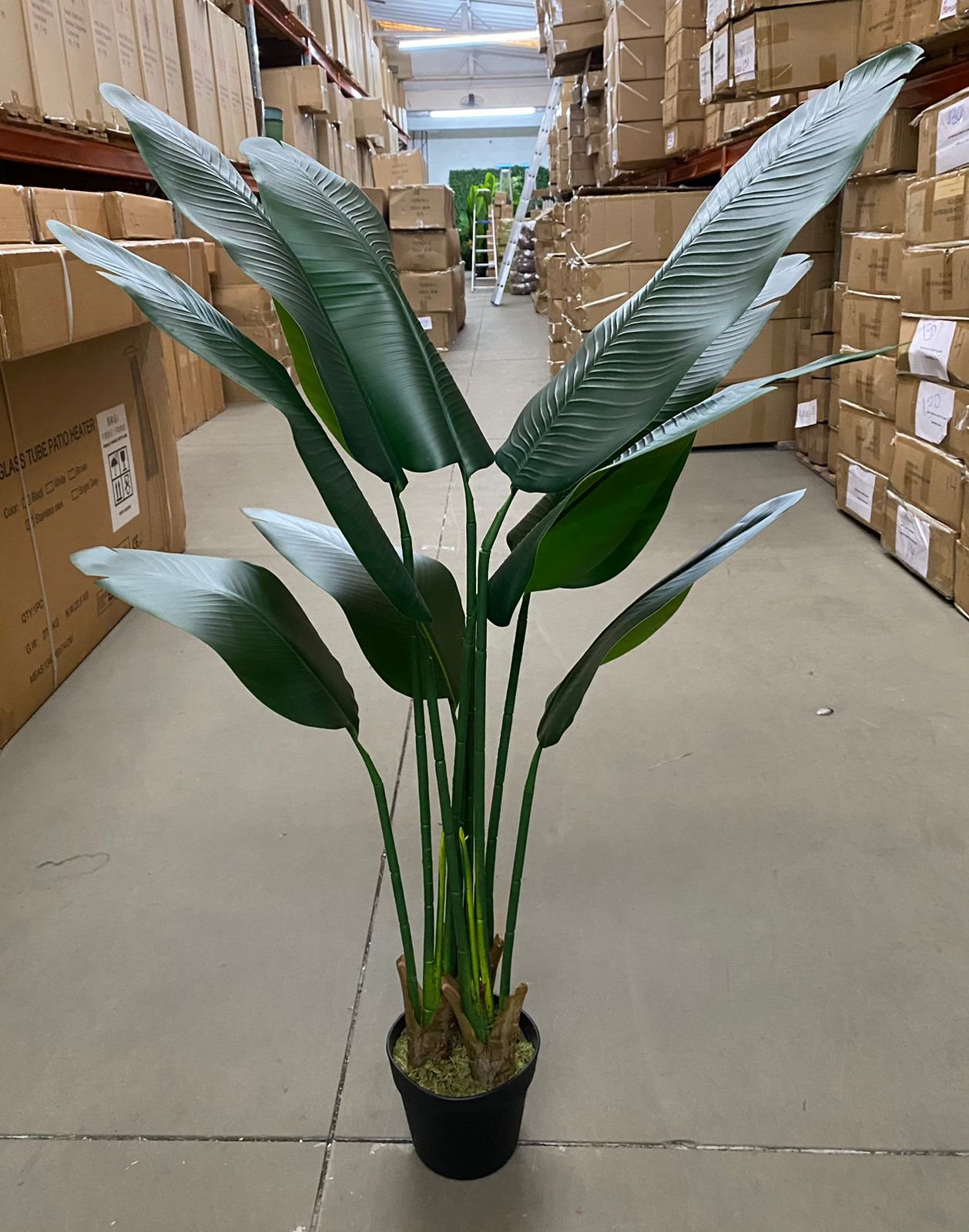 Bananeira Artificial Viajante para Decoração Planta Realista 1.20m - 2