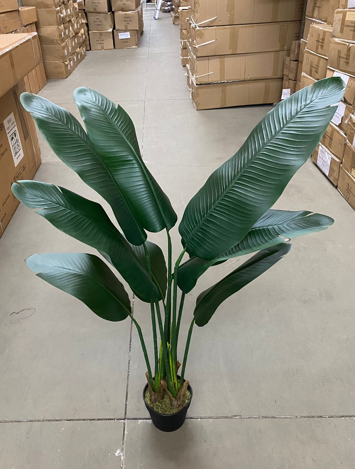 Bananeira Artificial Viajante para Decoração Planta Realista 1.20m - 3