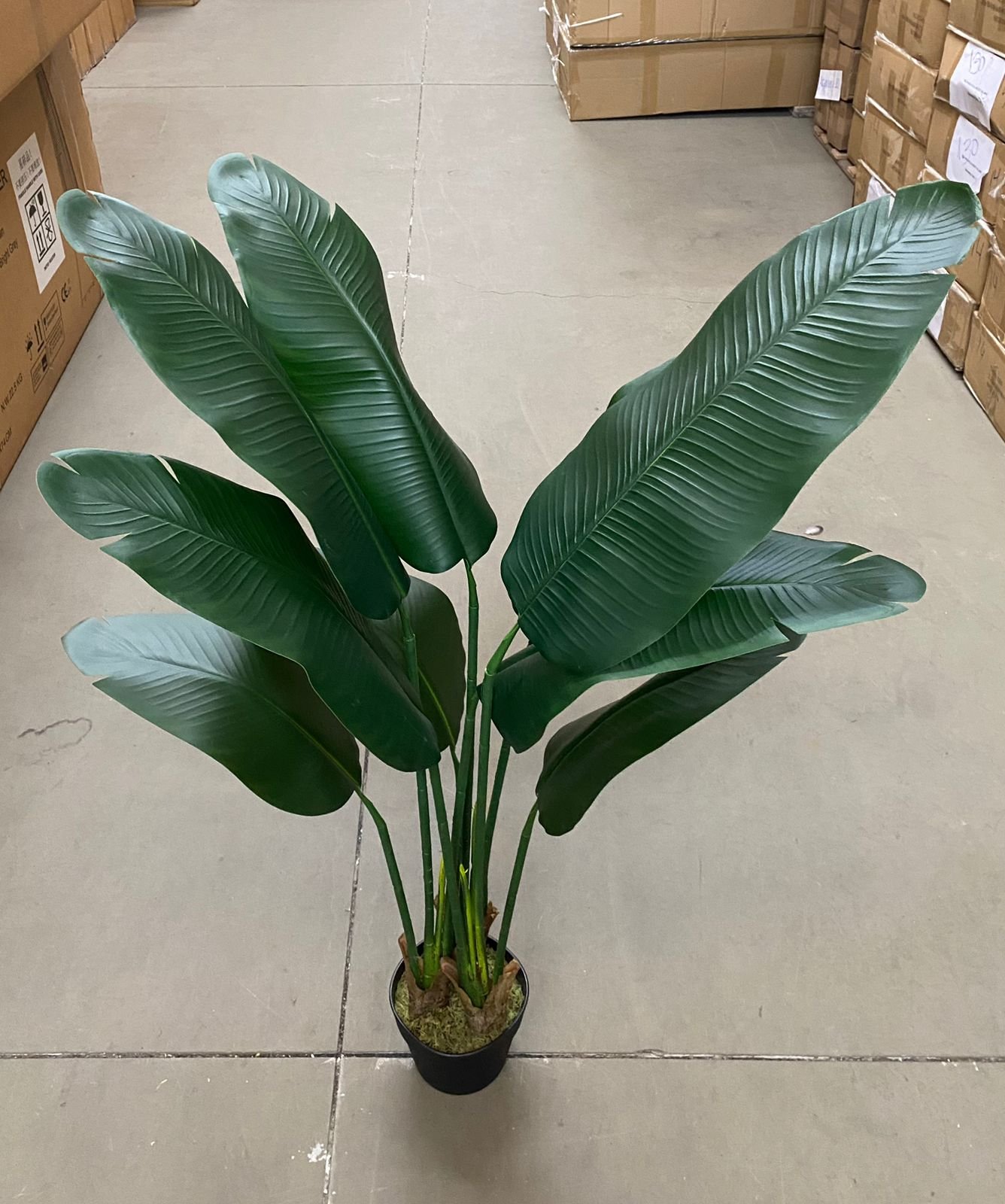 Bananeira Artificial Viajante para Decoração Planta Realista 1.20m - 6