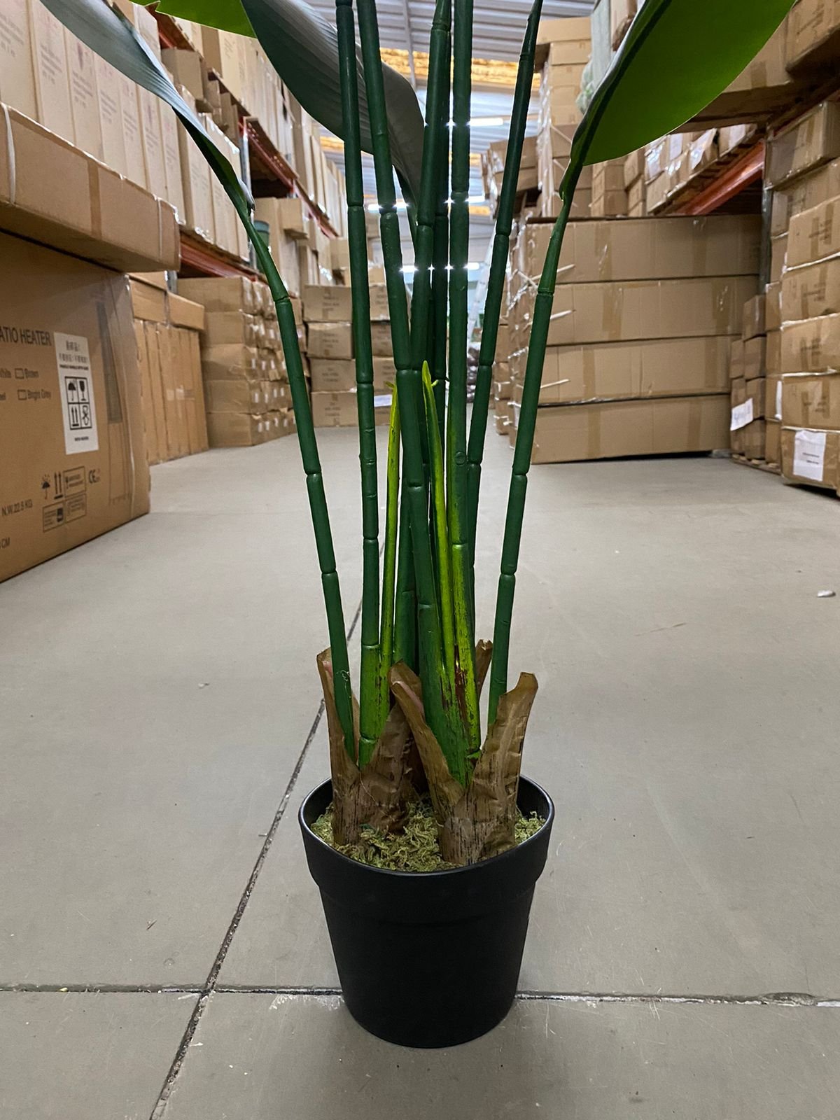 Bananeira Artificial Viajante para Decoração Planta Realista 1.20m - 4