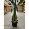 Bananeira Artificial Viajante para Decoração Planta Realista 1.20m - 4