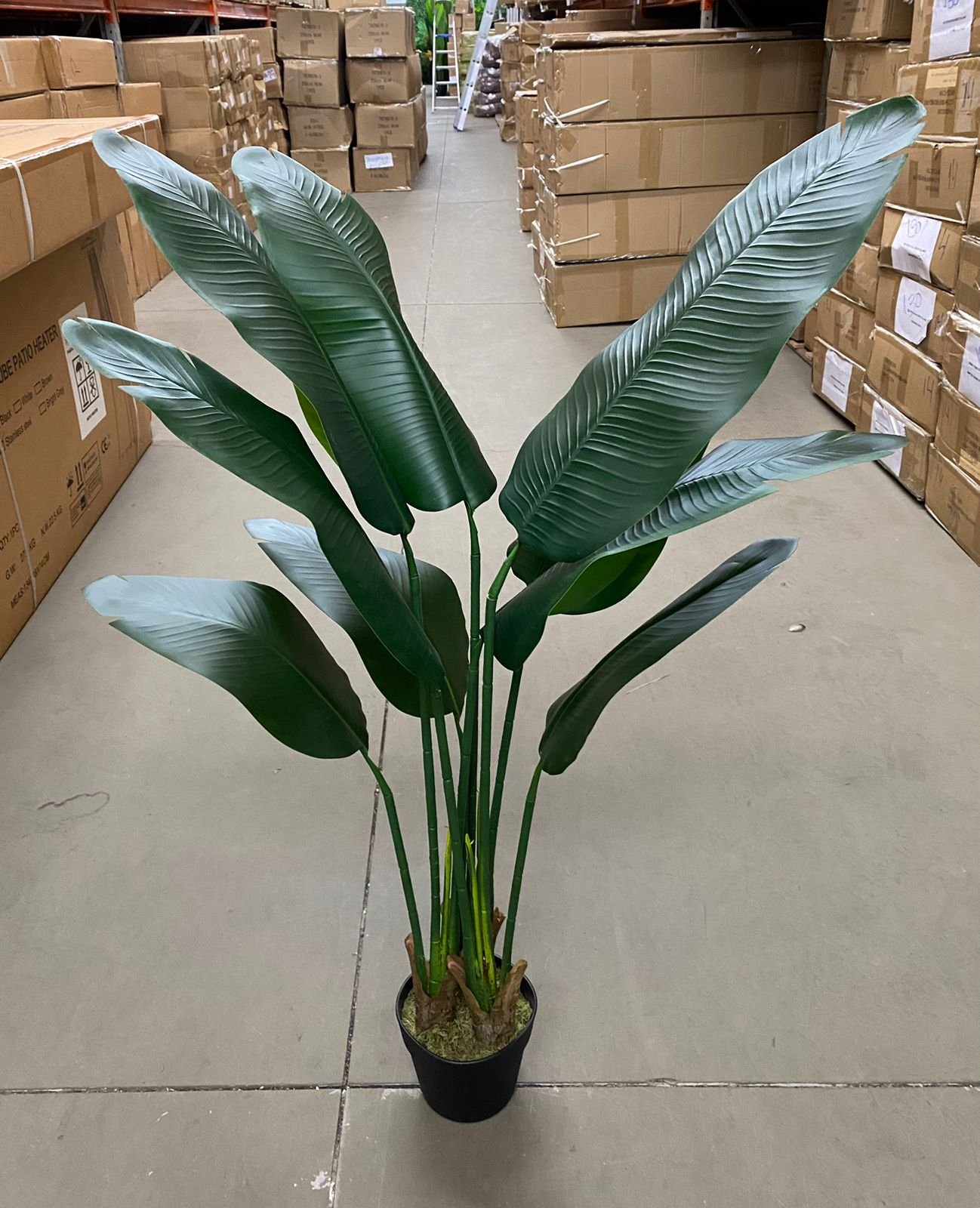 Bananeira Artificial Viajante para Decoração Planta Realista 1.20m - 5