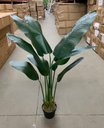 Ver imagem 5 de Bananeira Artificial Viajante para Decoração Planta Realista 1.20m