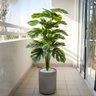 1 Planta Artificial Costela de Adão (70cm) Realista 24 Folhas Toque Real Decoração Luxo Casa e Sala - 6