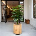 Ver imagem 7 de 1 Planta Artificial Costela de Adão (70cm) Realista 24 Folhas Toque Real Decoração Luxo Casa e Sala