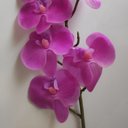 Ver imagem 1 de Flor Artificial Orquídea Branco com Rosa 1 Galho 55cm
