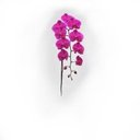 Ver imagem 5 de Flor Artificial Orquídea Branco com Rosa 1 Galho 55cm