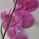 Ver imagem 4 de Flor Artificial Orquídea Branco com Rosa 1 Galho 55cm