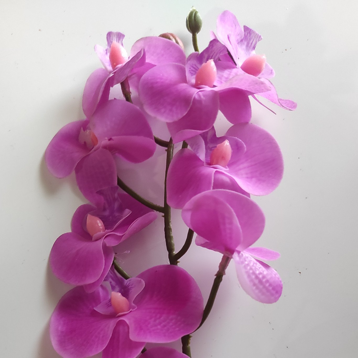 Flor Artificial Orquídea Branco com Rosa 1 Galho 55cm - 2