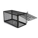 Ver imagem 4 de Ratoeira Gaiola Grande Kit 2 Unidades Armadilha Rato Ratazan
