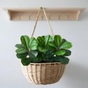 Ver imagem 6 de 8 Folhagens Verdes Artificiais para Decoração em Qualquer Ambiente Ótimo Custo-benefício e Qualidade