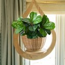 Ver imagem 5 de 8 Folhagens Verdes Artificiais para Decoração em Qualquer Ambiente Ótimo Custo-benefício e Qualidade