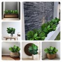 Ver imagem 1 de 8 Folhagens Verdes Artificiais para Decoração em Qualquer Ambiente Ótimo Custo-benefício e Qualidade