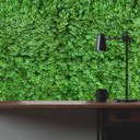 Ver mais imagens de 12 Placas Trevo Artificial Folhagem Premium Alta Qualidade para Decorar Paredes Internas e Painéis
