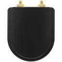 Ver imagem 1 de Tampa de Vaso Laqueado Com Amortecedor Carrara Preto Fosco para Bacia Deca com Ferragem Dourada
