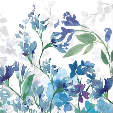 Colors Of The Garden Iii Cool Shadows Canaleta 80x80cm Preta