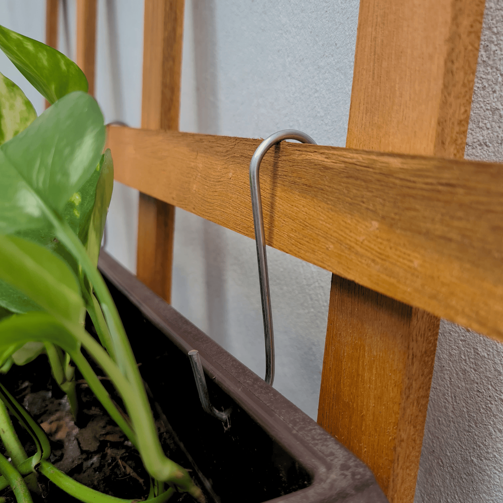 10 Ganchos para Pendurar Vasos de Plantas em Jardim Vertical - 4