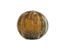Ver imagem 1 de Esfera Murano Marrom - Tamanho m