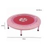 Trampolim Profissional Academia em Aço Cama Elástica Jump 98 Cm Ginástica Fitness 32 Molas Rosa - 3