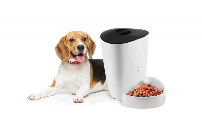 Alimentador automático inteligente Wi-fi para cães e gatos Geonav - 11