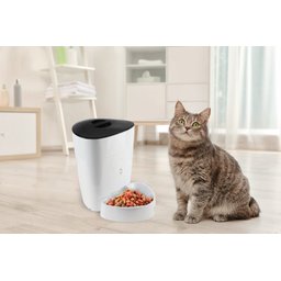 Alimentador automático inteligente Wi-fi para cães e gatos Geonav - 10