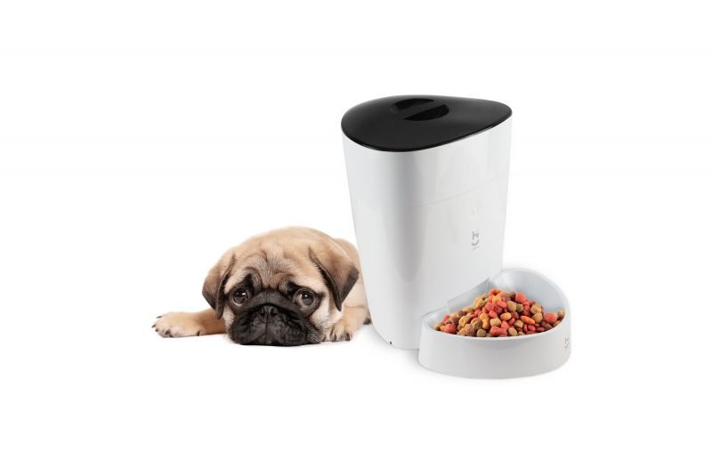 Alimentador automático inteligente Wi-fi para cães e gatos Geonav - 17
