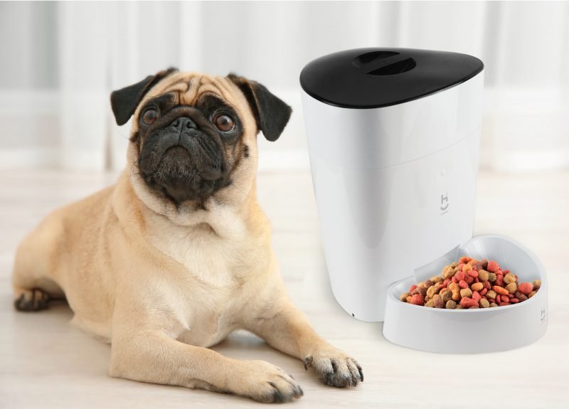 Alimentador automático inteligente Wi-fi para cães e gatos Geonav - 12