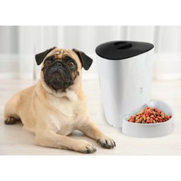 Alimentador automático inteligente Wi-fi para cães e gatos Geonav - 12