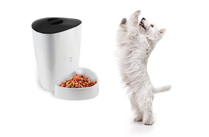 Alimentador automático inteligente Wi-fi para cães e gatos Geonav - 16