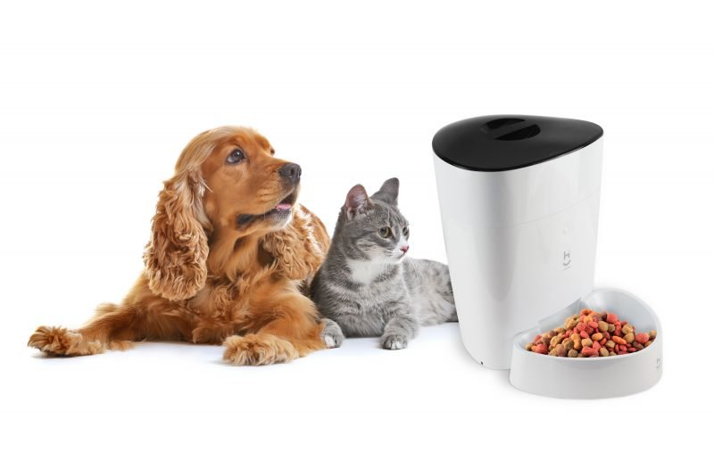 Alimentador automático inteligente Wi-fi para cães e gatos Geonav - 9