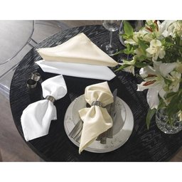 Guardanapo 51x51cm Gourmet Bege - Karsten - 1