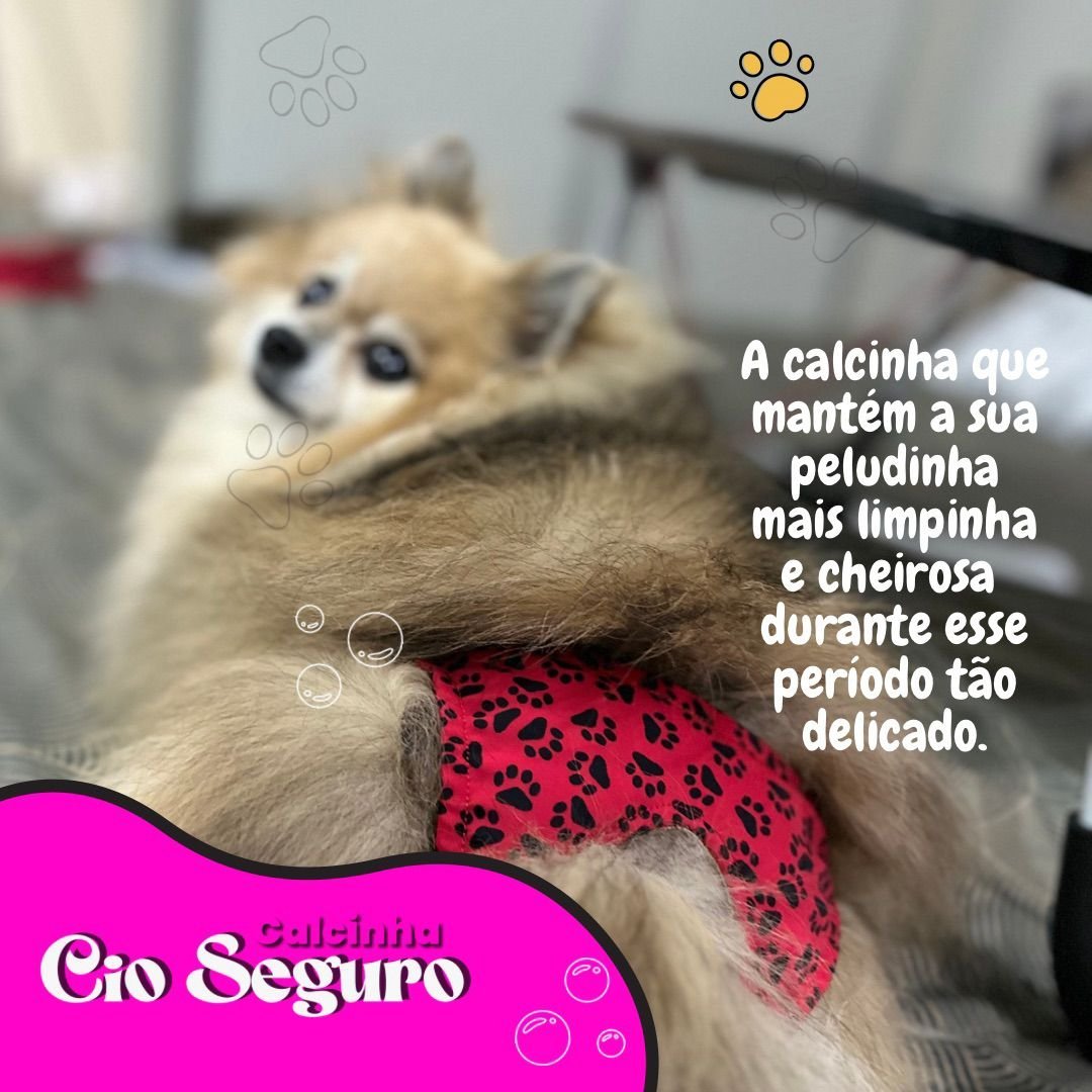 Calcinha Para Cachorro Pet Cio Seguro Higiênica Raças Pequenas - 2