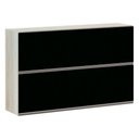 Ver imagem 1 de Armário Basculante Duplo Luciane 120cm 2 Portas Luci