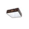 Luminária Plafon Madeira Maresias Ddek Pfng 20cm - 4