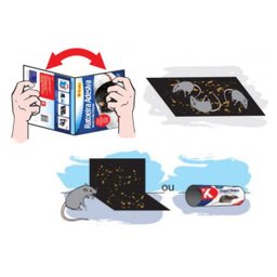 Ratoeira Adesiva Pega Rato Krodec Caixa com 20 Unidades - Krodec - 2481 - 2