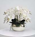Ver imagem 1 de Arranjo de Flores 8 Orquideas Artificiais Brancas com o Vaso