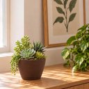 Ver imagem 2 de Vaso Pequeno de Plantas Suculentas 15,5cm Tramontina Asteca