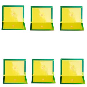 Ratoeira Adesiva Cola Pega Rato 20x15cm | 06 Un